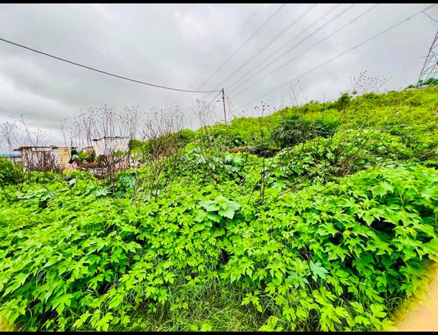 LAND FOR SALE IN KWAMASHU